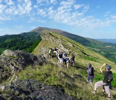 Hiru Alabak - Maison A Biarritz, Piscine, Jardin, 8 Personnes *